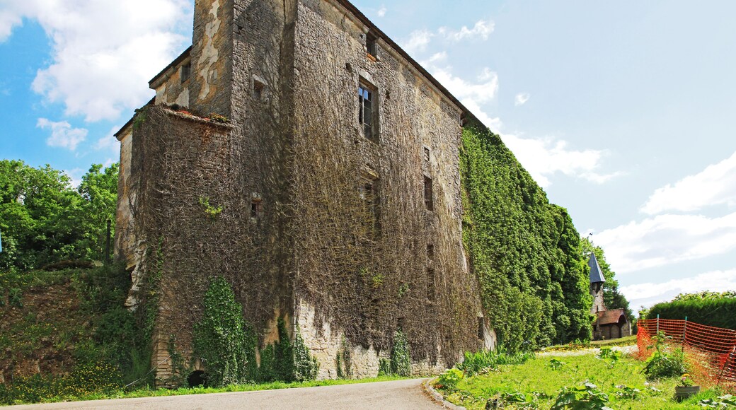 Château de Fontette