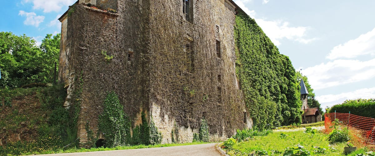 A large stone building with ivy-covered walls, surrounded by lush greenery and a clear blue sky.