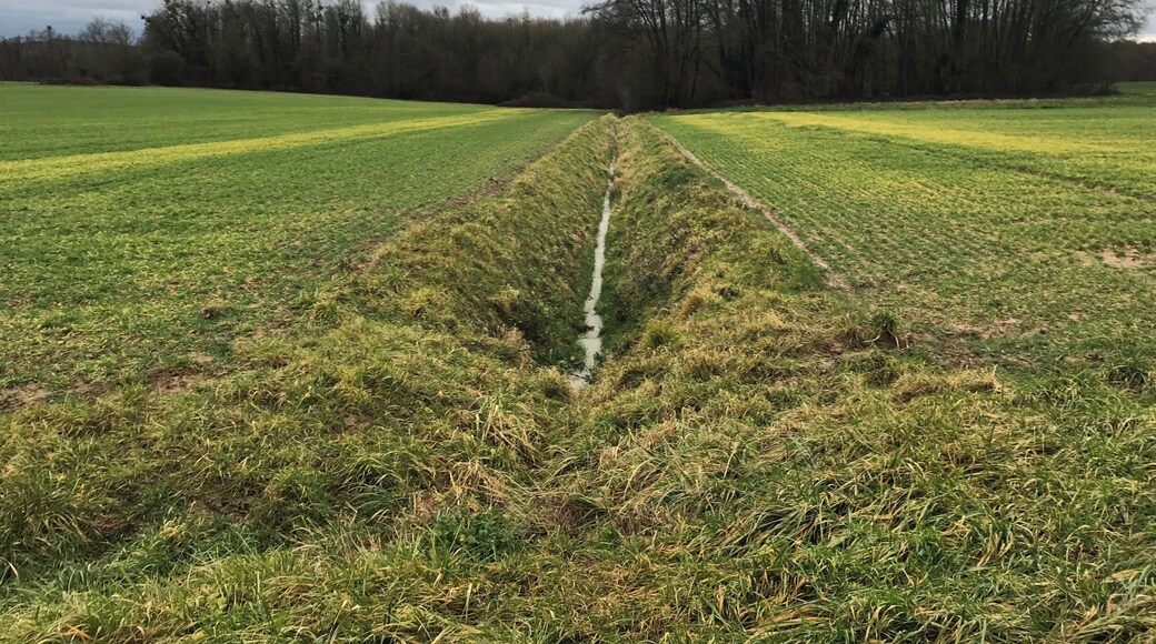 Ruisseau, affluent de la Vèze, coulant sur l'exact tracé de la frontière entre le département de la Côte-d'Or et le département du Jura : à droite, Billey (Côte-d'Or) ; à gauche Biarne (Jura).