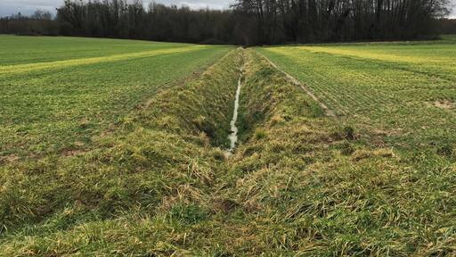 Ruisseau, affluent de la Vèze, coulant sur l'exact tracé de la frontière entre le département de la Côte-d'Or et le département du Jura : à droite, Billey (Côte-d'Or) ; à gauche Biarne (Jura).