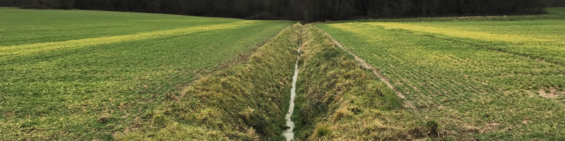 Ruisseau, affluent de la Vèze, coulant sur l'exact tracé de la frontière entre le département de la Côte-d'Or et le département du Jura : à droite, Billey (Côte-d'Or) ; à gauche Biarne (Jura).