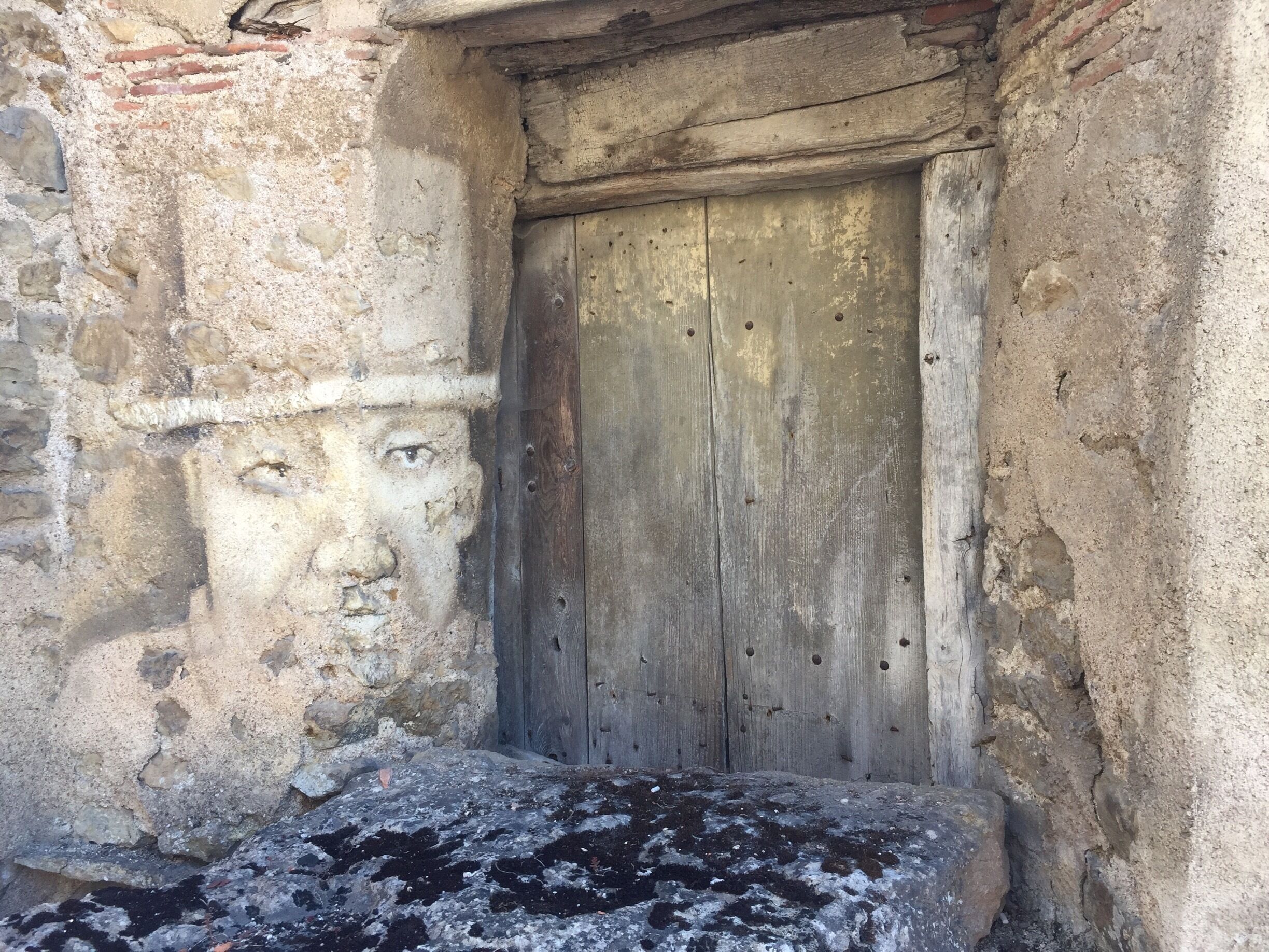 A weathered wooden door with a rough stone wall and a stone step in front.