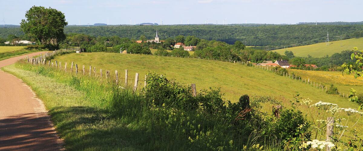 A rural landscape with a winding road, a large tree, a church, and wind turbines in the distance.