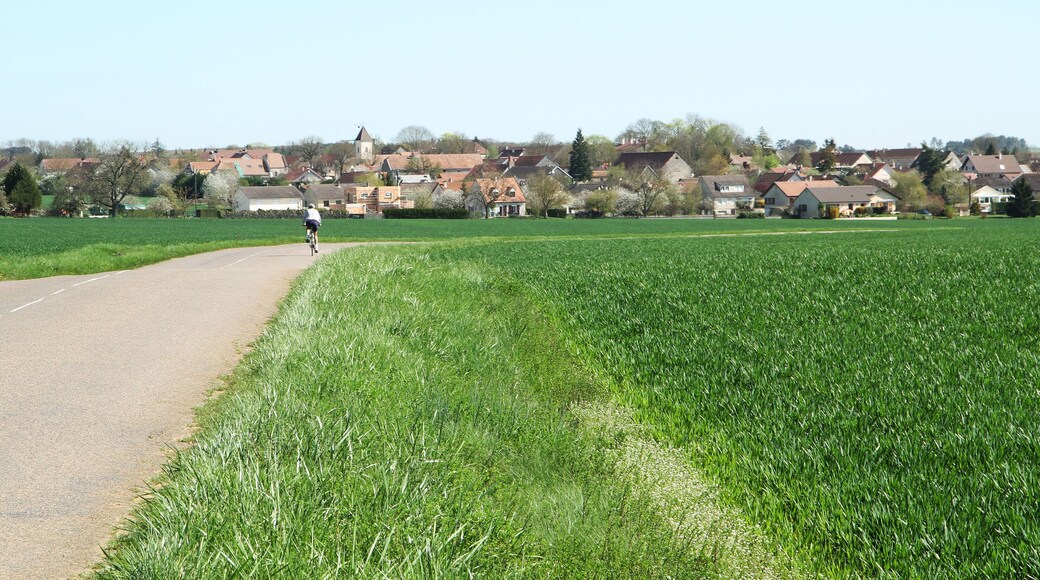 Le village de Savigny-le-Sec vu depuis la route de Messigny