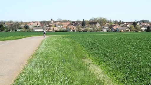 Le village de Savigny-le-Sec vu depuis la route de Messigny