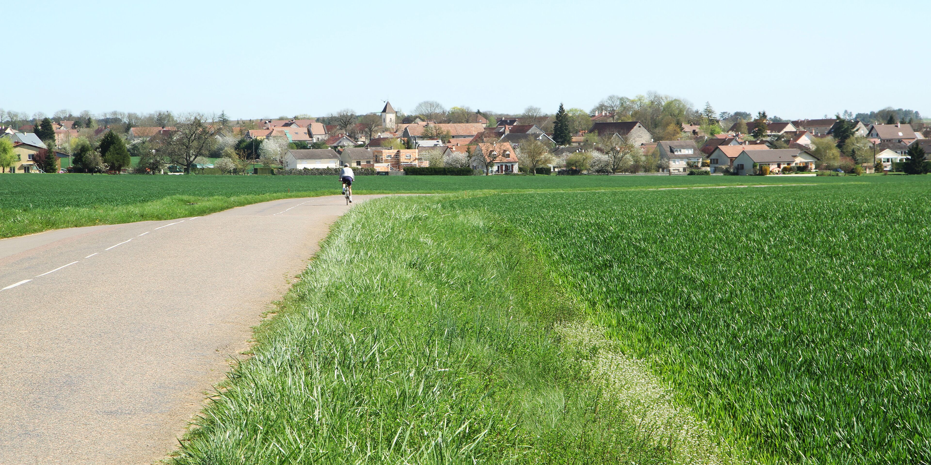 A rural road with a cyclist, green fields, and houses in the background.