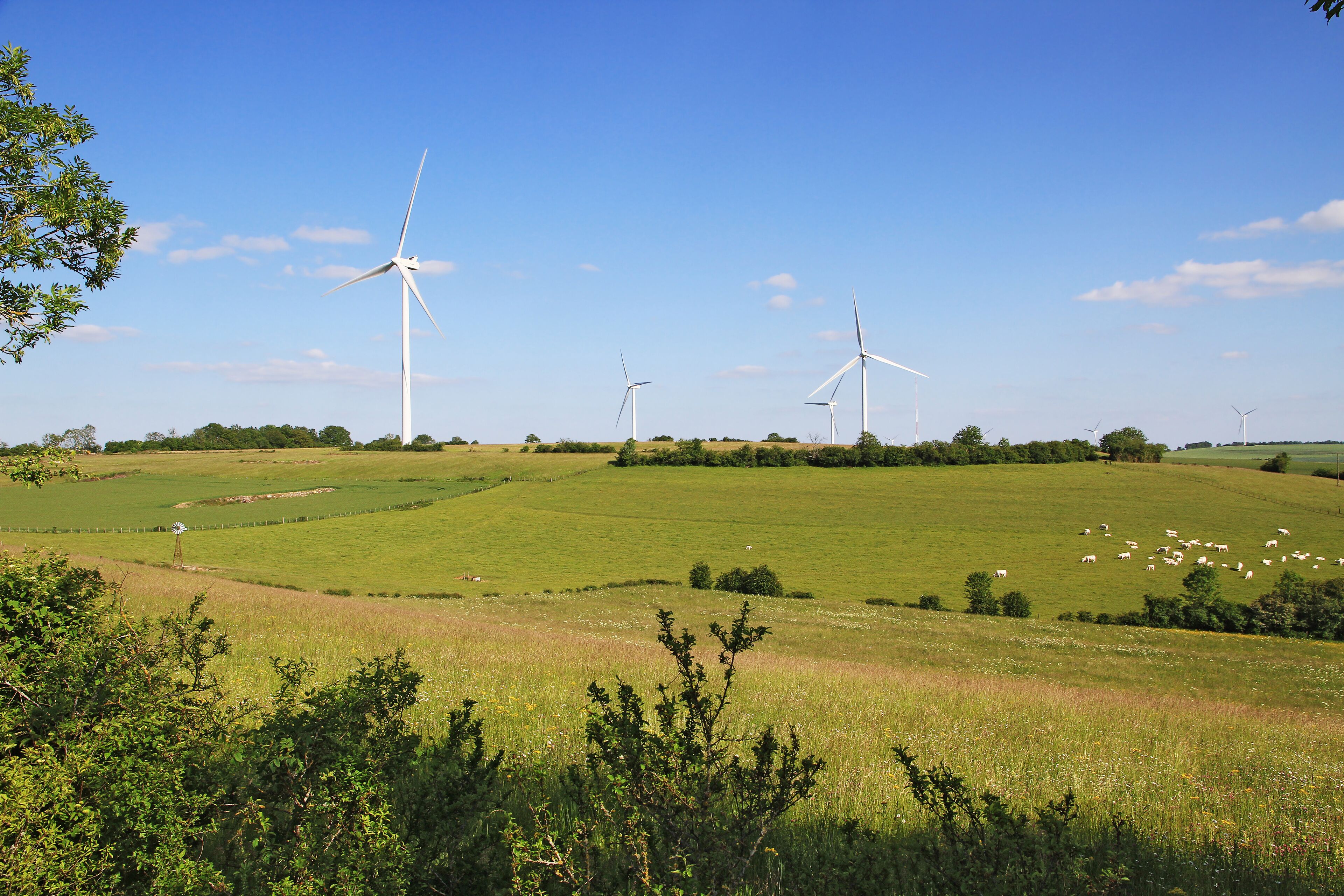 Parc éolien Marcellois-Massingy