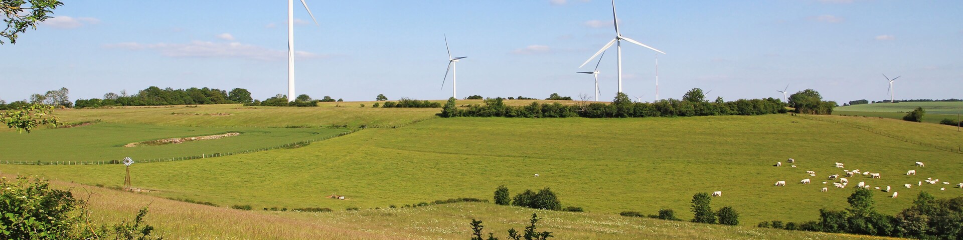 Windräder auf einem grünen Hügel mit einer Schafwiese.