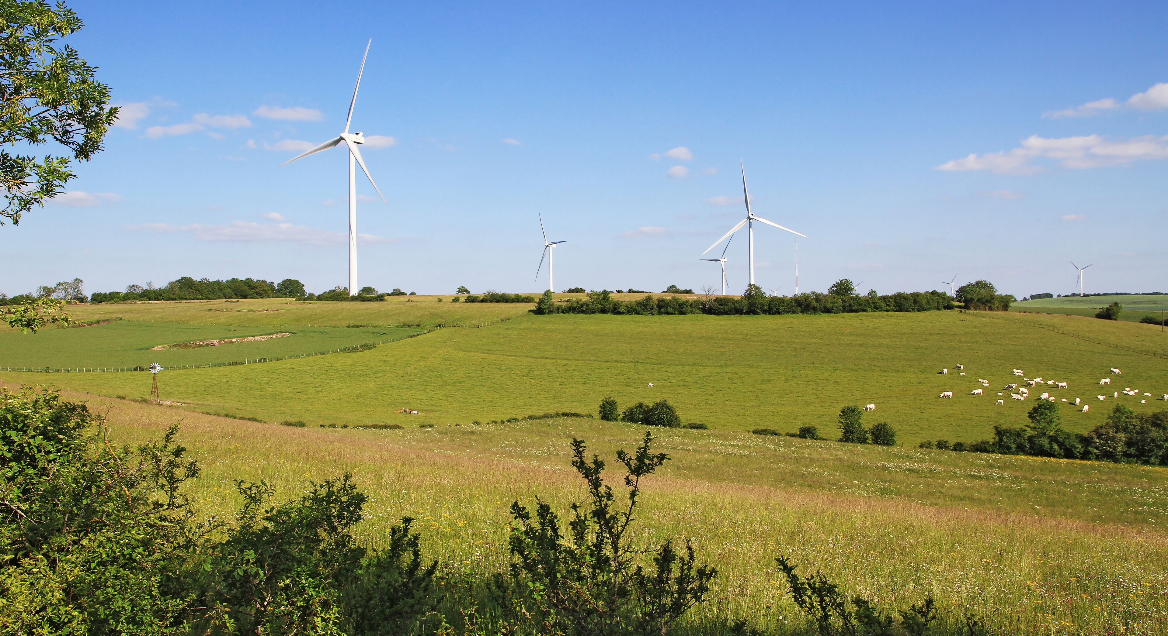 Wind turbines on a green hill with a field of sheep.