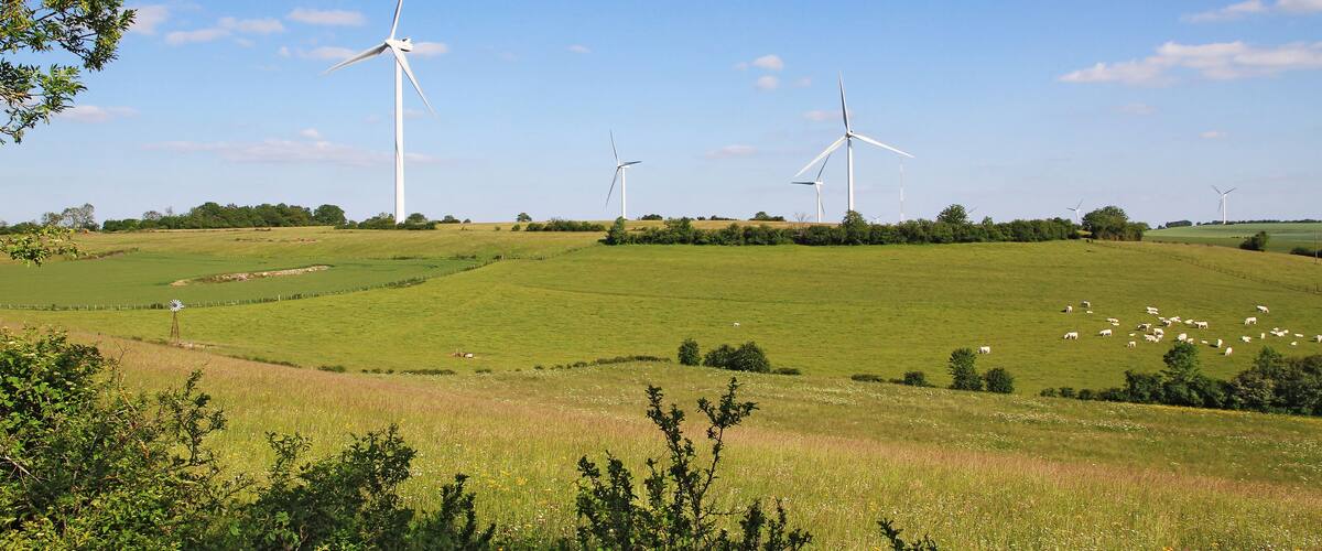 Wind turbines on a green hill with a field of sheep.