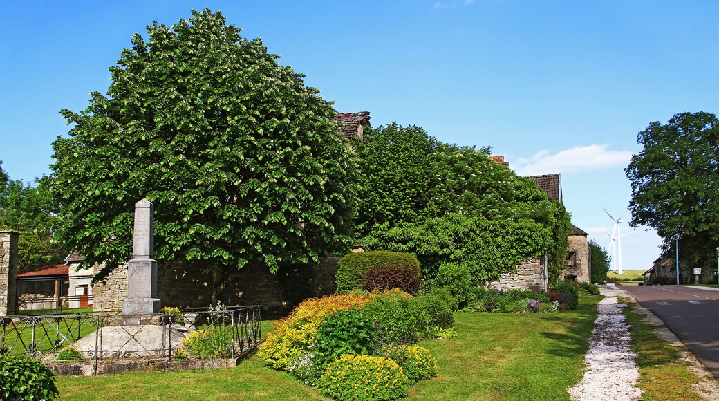 Rue principale et place du monument aux morts de Marcellois
