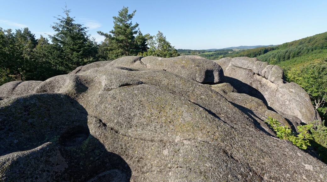 Le Rocher du Combeau, mégalithe à cupules au lieu-dit Rongère Montagne, à la limite entre les communes de Lachaux et Châteldon, dans le Puy-de-Dôme.