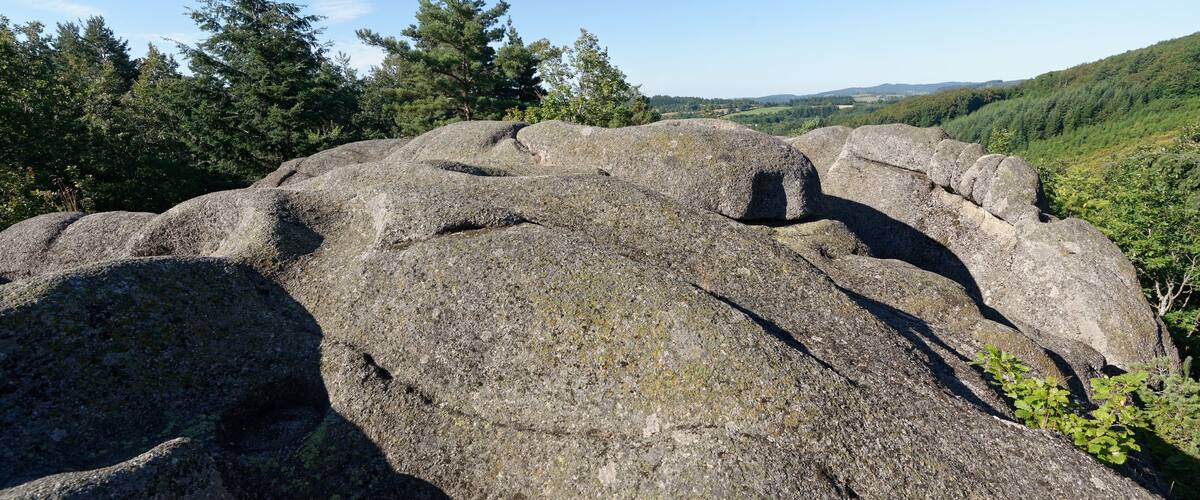 Large boulders in a forested area with a clear sky.