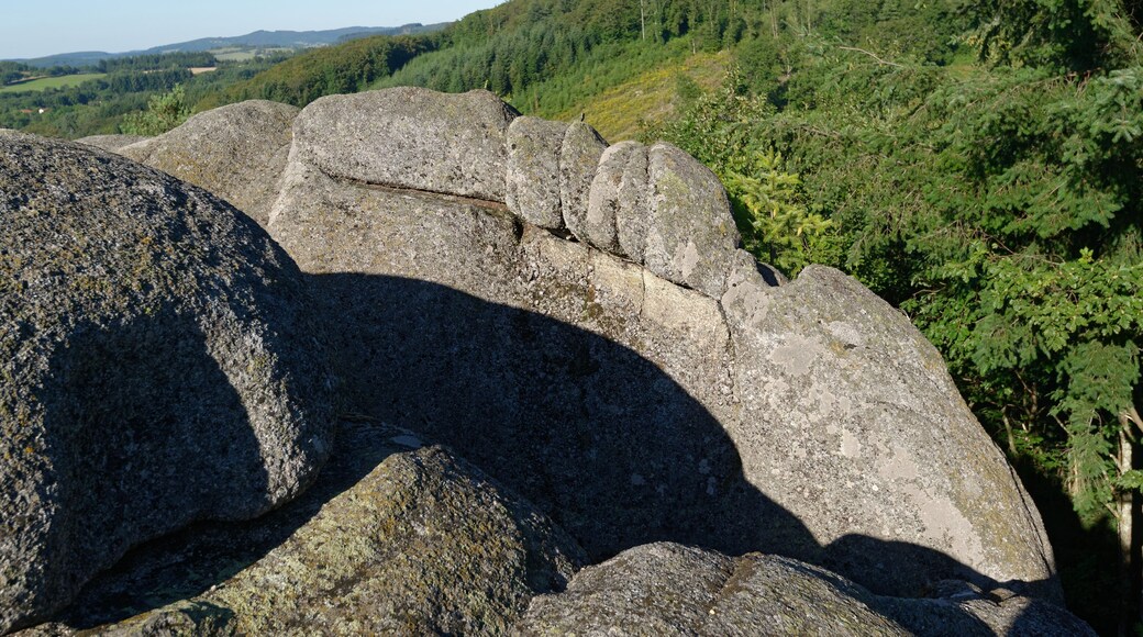 Le Rocher du Combeau, mégalithe à cupules au lieu-dit Rongère Montagne, à la limite entre les communes de Lachaux et Châteldon, dans le Puy-de-Dôme.