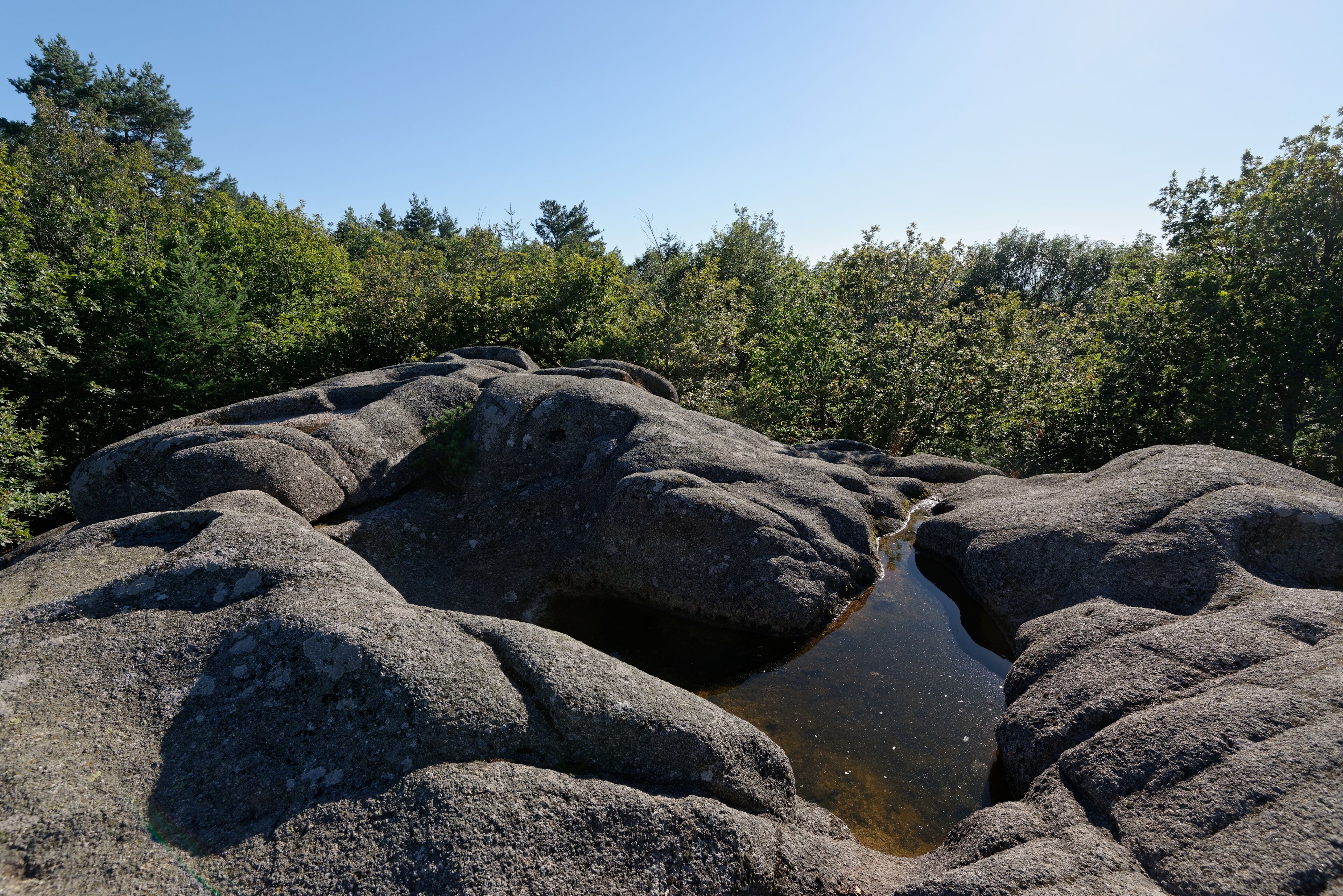 Le Rocher du Combeau, mégalithe à cupules au lieu-dit Rongère Montagne, à la limite entre les communes de Lachaux et Châteldon, dans le Puy-de-Dôme.