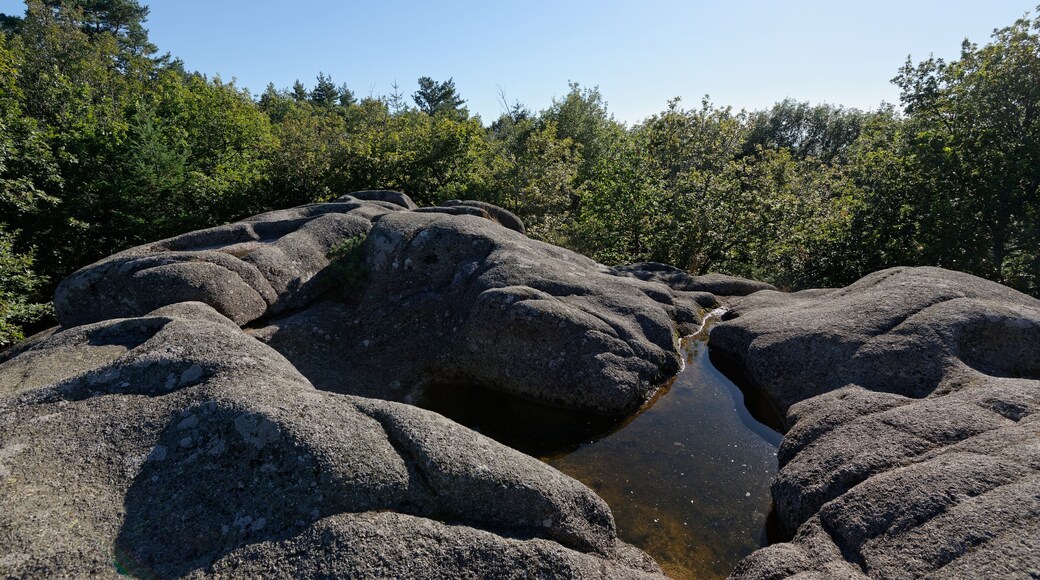 Le Rocher du Combeau, mégalithe à cupules au lieu-dit Rongère Montagne, à la limite entre les communes de Lachaux et Châteldon, dans le Puy-de-Dôme.