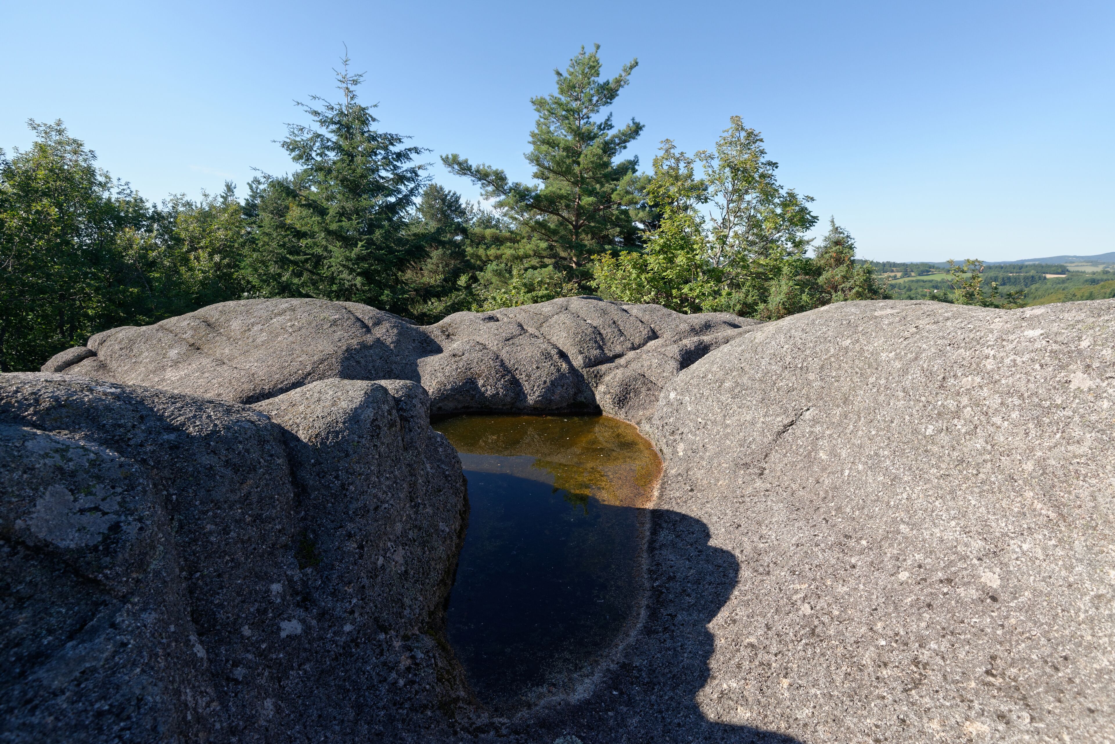 Le Rocher du Combeau, mégalithe à cupules au lieu-dit Rongère Montagne, à la limite entre les communes de Lachaux et Châteldon, dans le Puy-de-Dôme.
