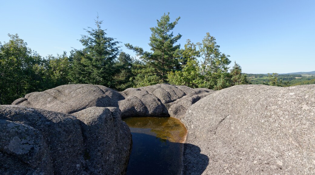 Le Rocher du Combeau, mégalithe à cupules au lieu-dit Rongère Montagne, à la limite entre les communes de Lachaux et Châteldon, dans le Puy-de-Dôme.