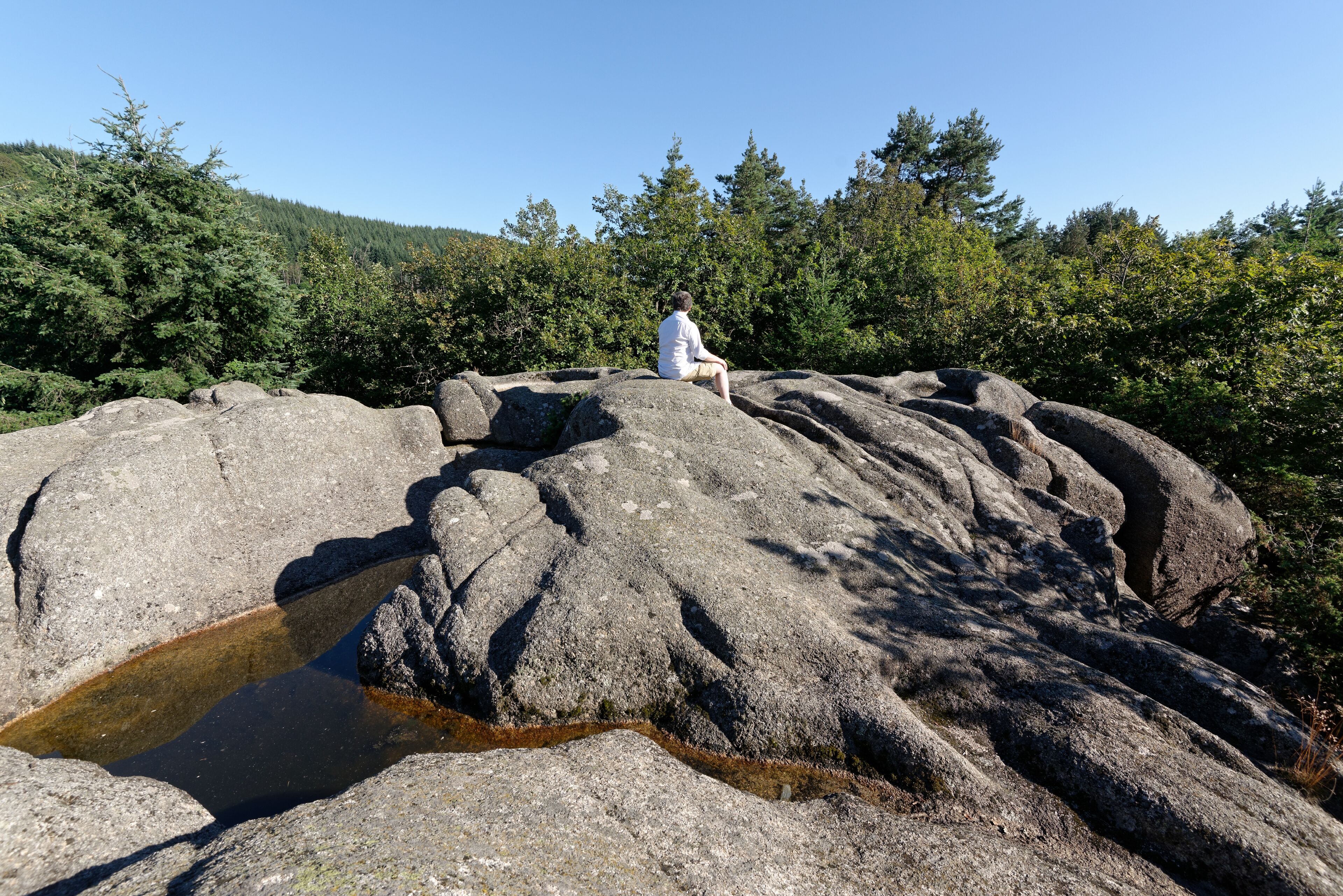 Le Rocher du Combeau, mégalithe à cupules au lieu-dit Rongère Montagne, à la limite entre les communes de Lachaux et Châteldon, dans le Puy-de-Dôme.