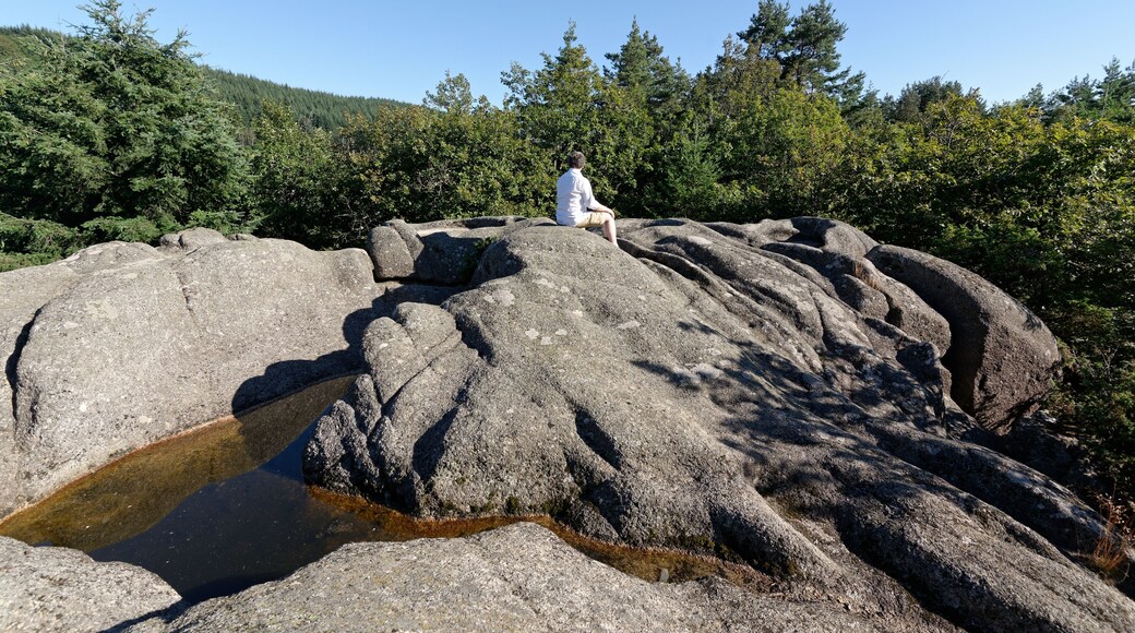 Le Rocher du Combeau, mégalithe à cupules au lieu-dit Rongère Montagne, à la limite entre les communes de Lachaux et Châteldon, dans le Puy-de-Dôme.