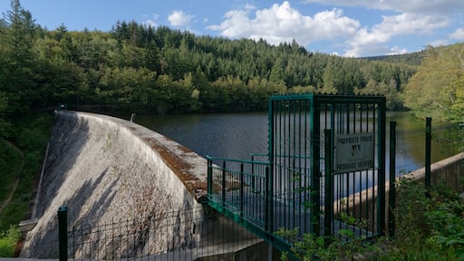 Le barrage de la Muratte, situé à la frontière des communes de Palladuc et de Saint-Victor-Montvianeix. Il sert de réserve d'eau potable pour la ville de Thiers.