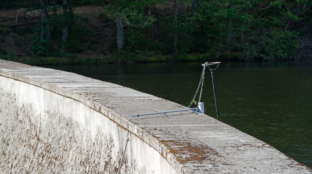 Le barrage de la Muratte, situé à la frontière des communes de Palladuc et de Saint-Victor-Montvianeix. Il sert de réserve d'eau potable pour la ville de Thiers.