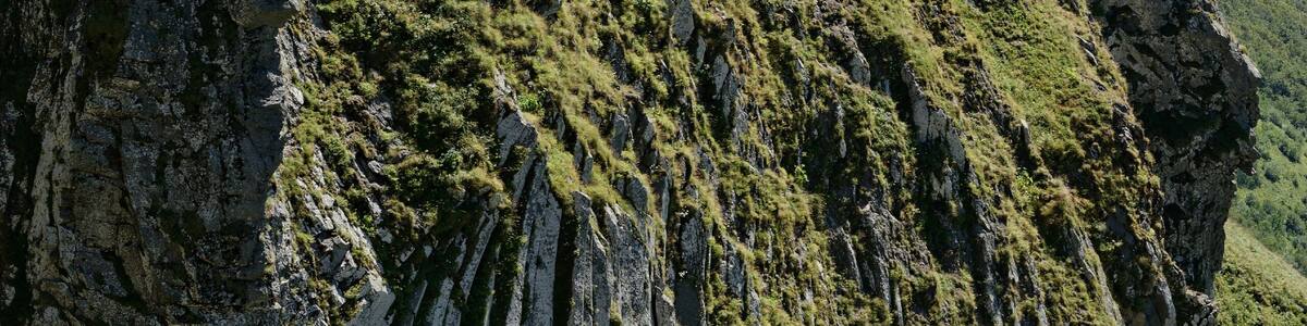 Orgues basaltiques sur les flancs du Puy de Sancy.