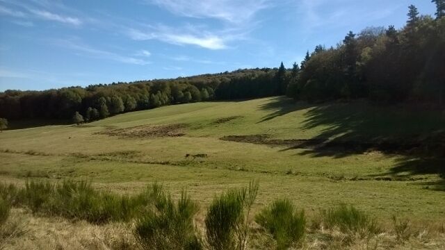 A grassy field with a gentle slope, surrounded by trees and a clear sky.
