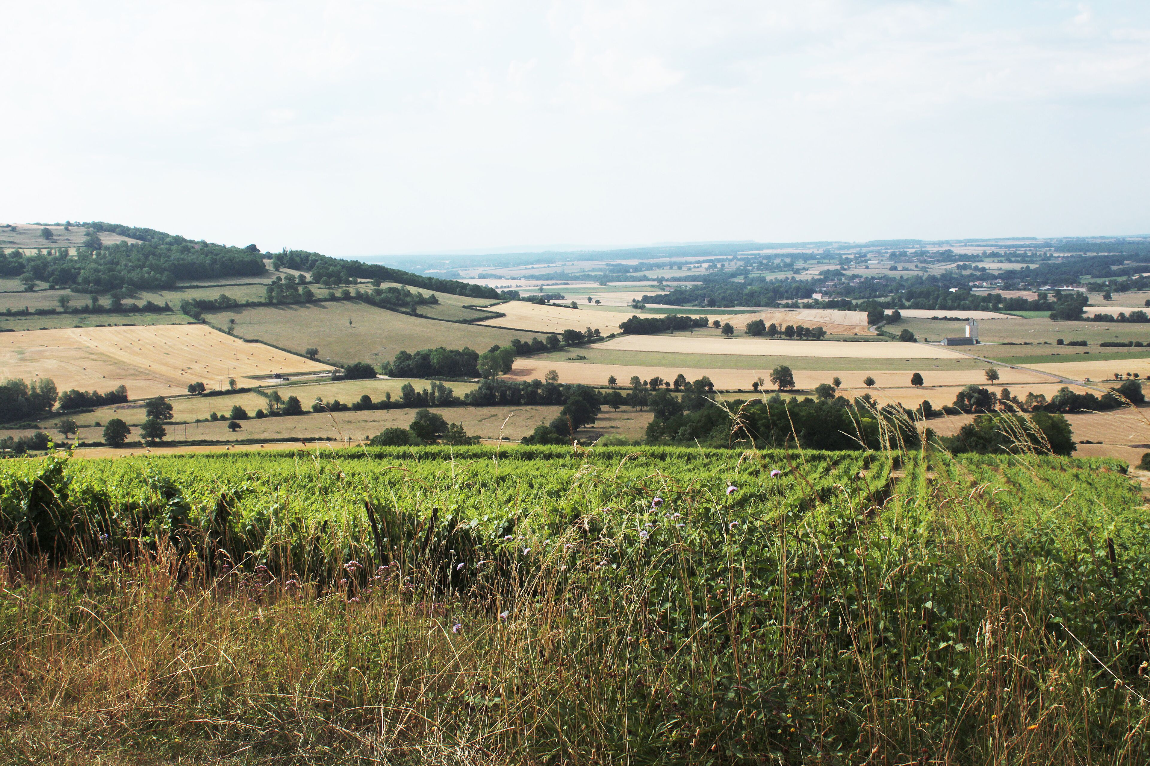 Viserny vineyards, Armançon valley and Cra mount (434m)