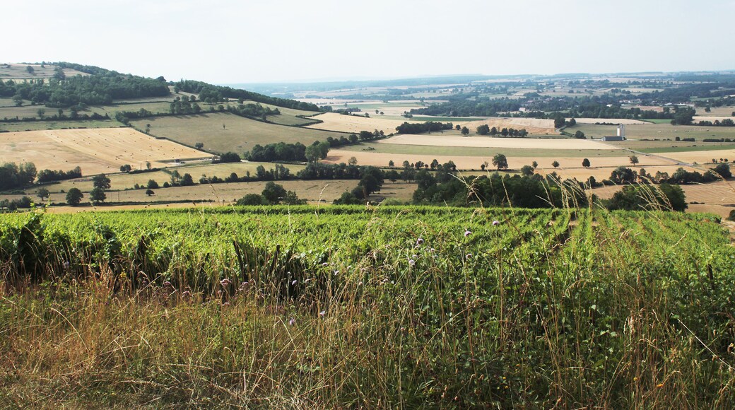 Viserny vineyards, Armançon valley and Cra mount (434m)