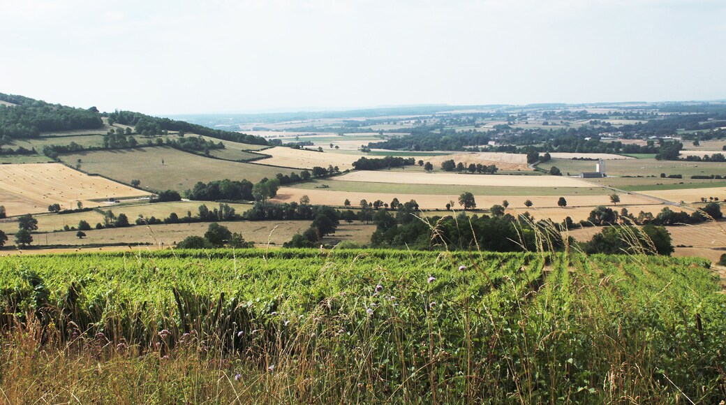 Viserny vineyards, Armançon valley and Cra mount (434 m)