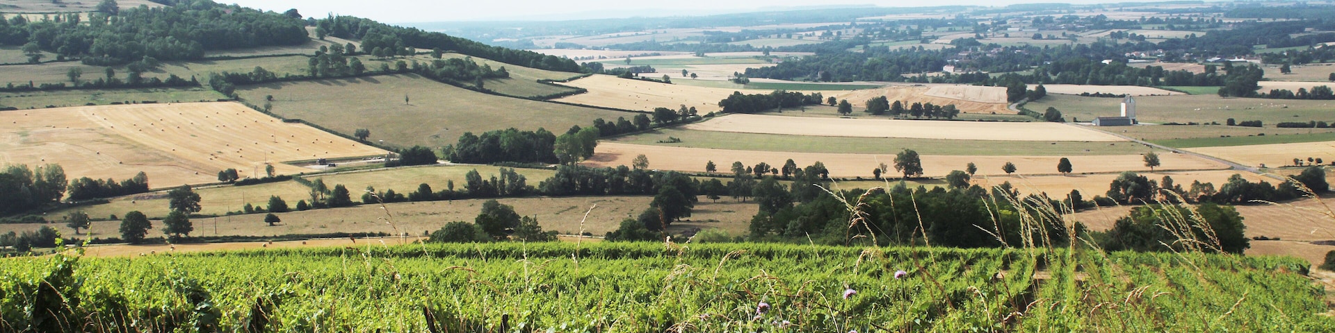 Viserny vineyards, Armançon valley and Cra mount (434 m)