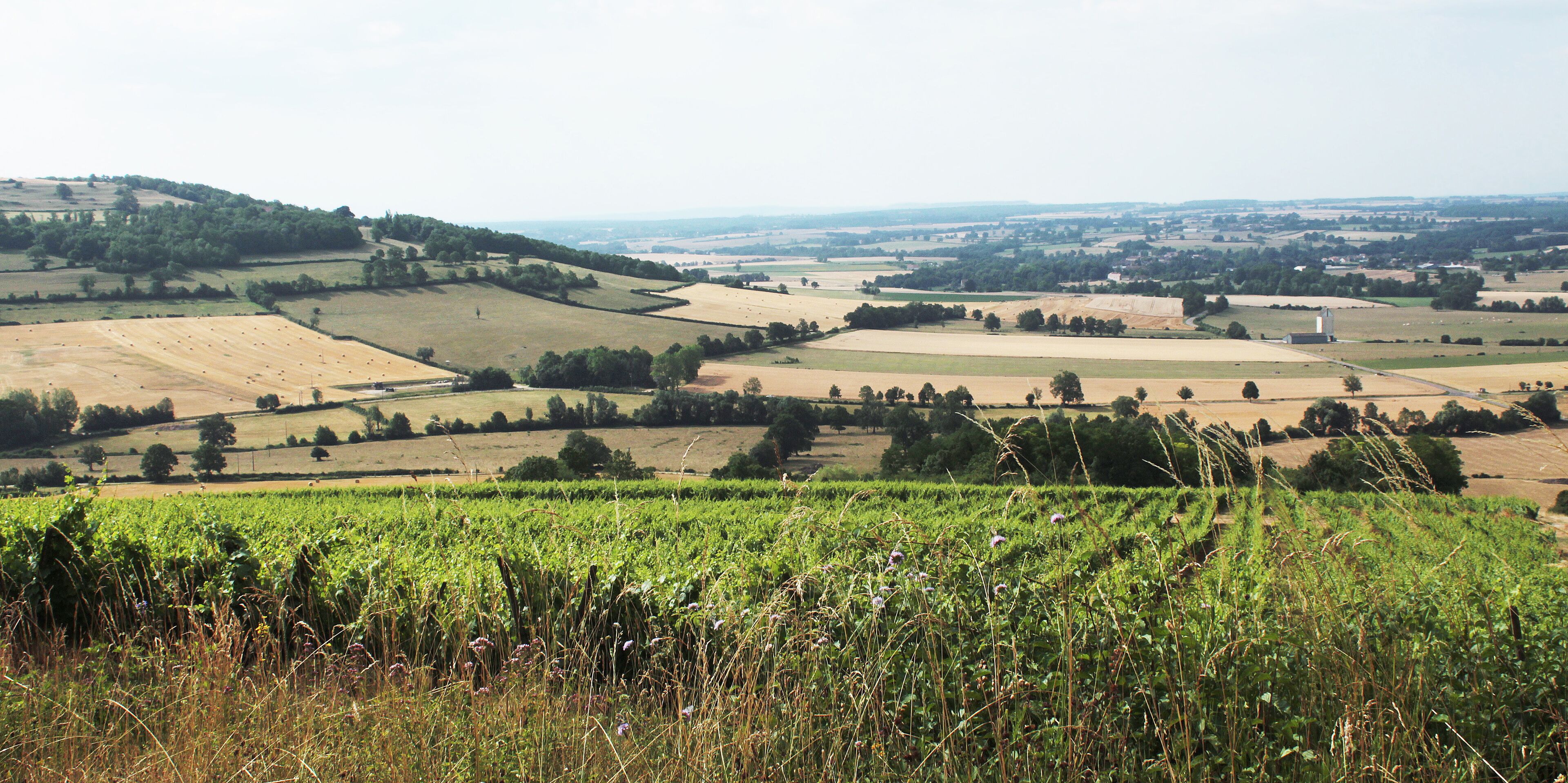 A rural landscape with fields, trees, and rolling hills.