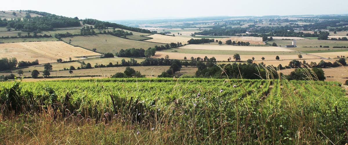 A rural landscape with fields, trees, and rolling hills.