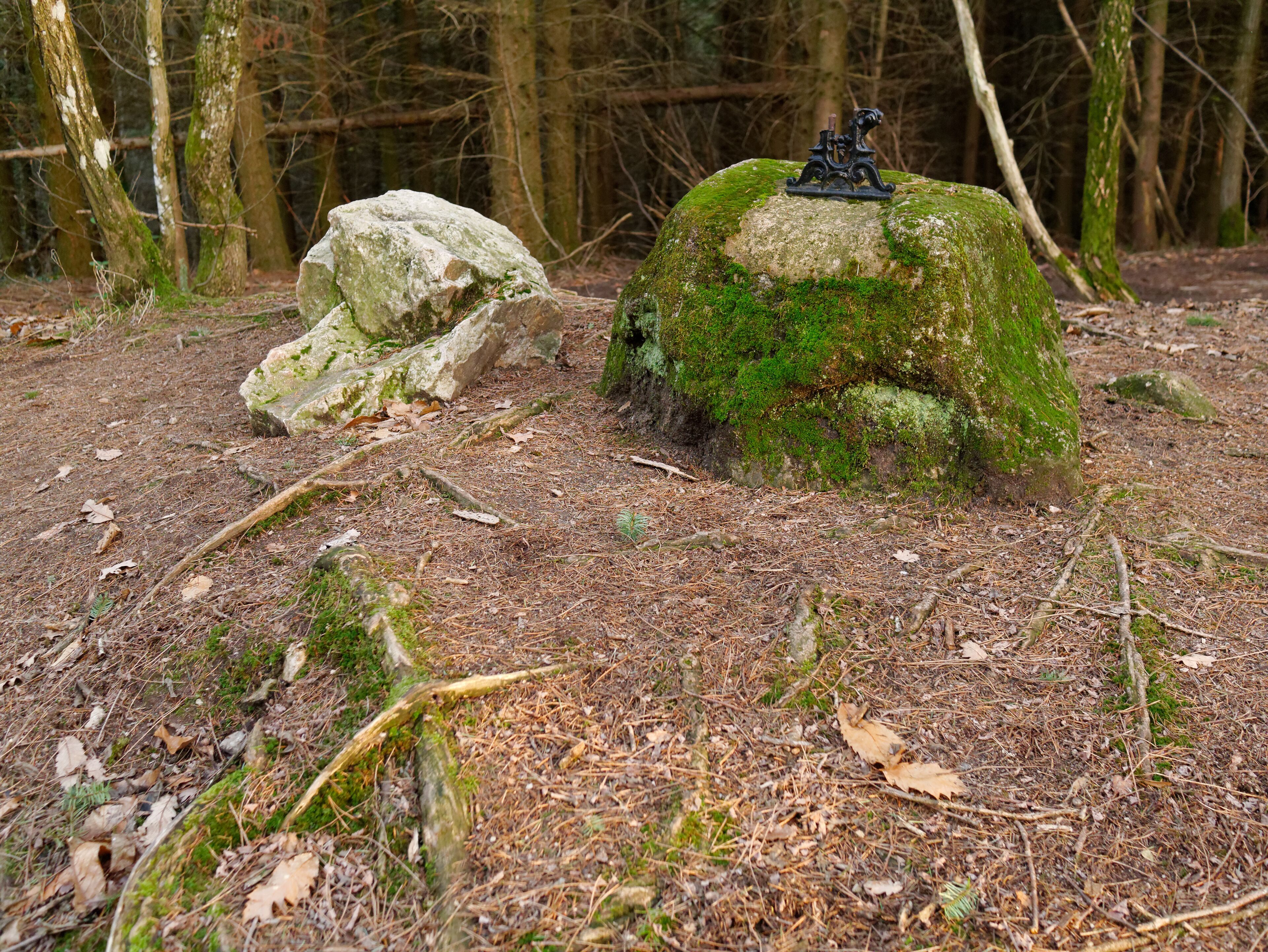 Pierres du Pas-du-loup, dont l'une porte une marque traditionnellement considérée comme une empreinte de loup, et l'autre une croix qui a été brisée. Paslières, Auvergne, France.