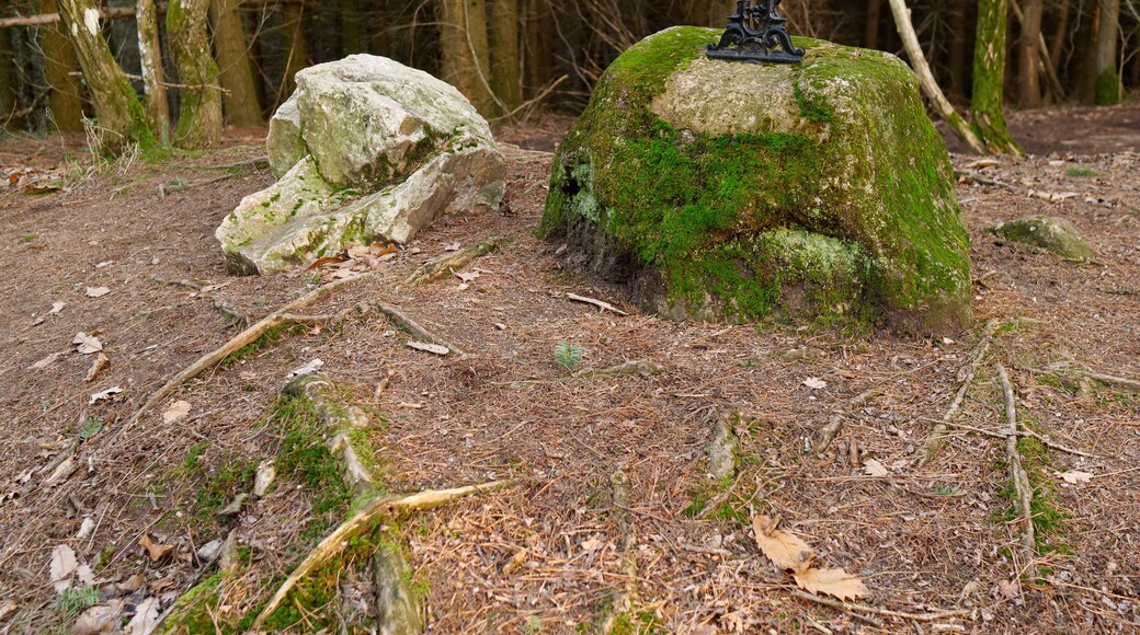 Pierres du Pas-du-loup, dont l'une porte une marque traditionnellement considérée comme une empreinte de loup, et l'autre une croix qui a été brisée. Paslières, Auvergne, France.