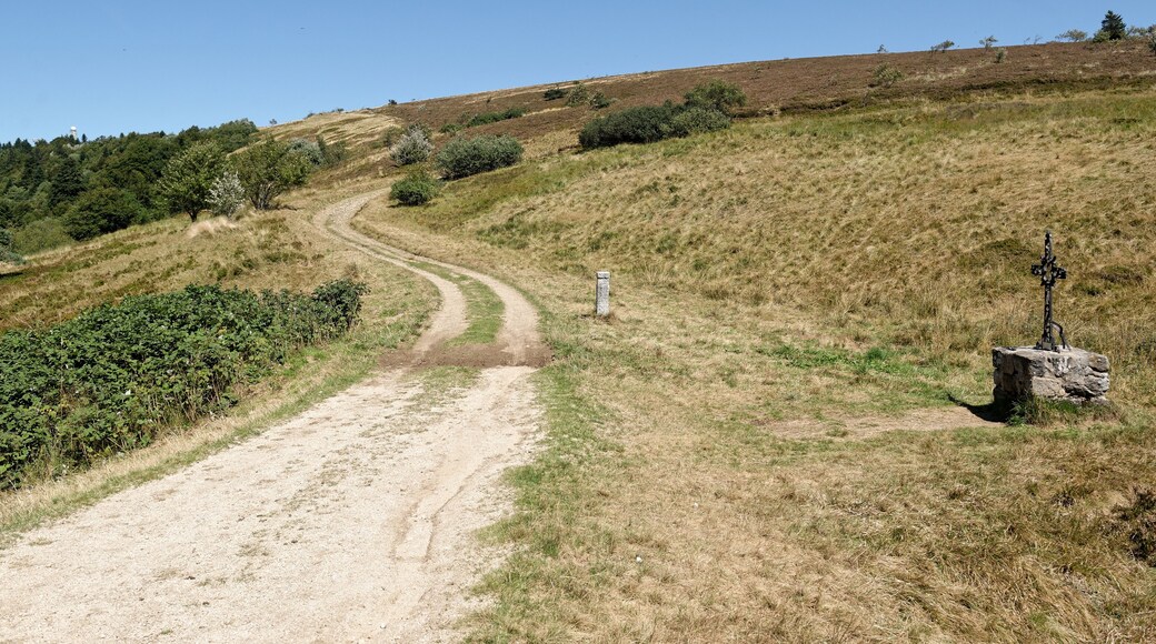 Wayside cross of Fossat in Auvergne, France.