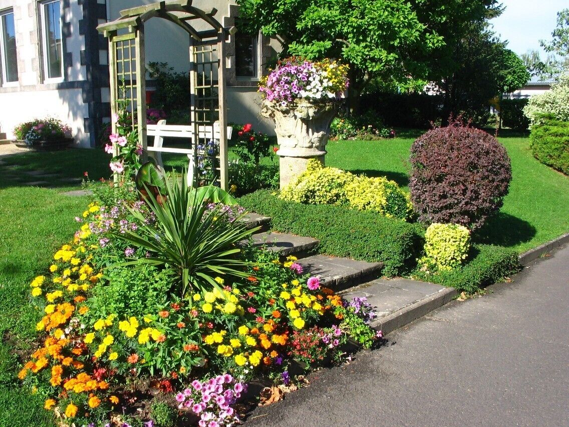 A well-maintained garden with a variety of colorful flowers, a stone bench, and a decorative arbor.