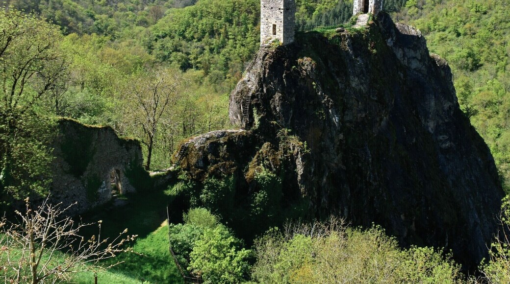 From much of the village you can't see the ruins of the old fortress, even though they're perched up high on a rock. But the village (also known as 'Peyrusse-le-Roc') is worth a visit on its own.