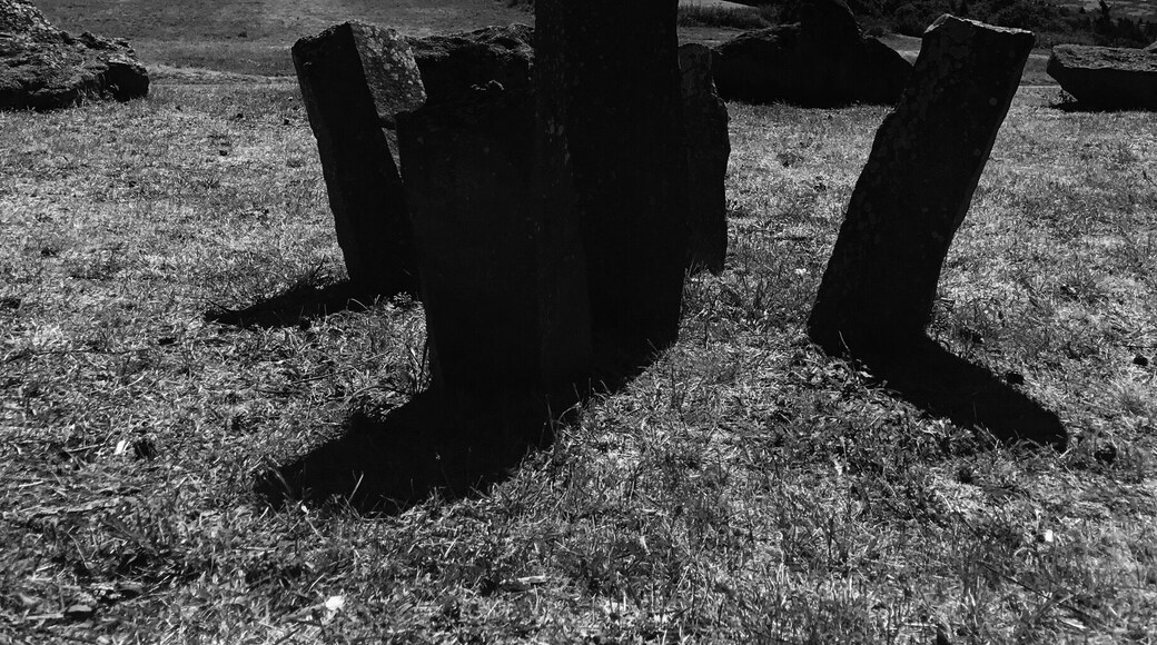 An amazing north indicator