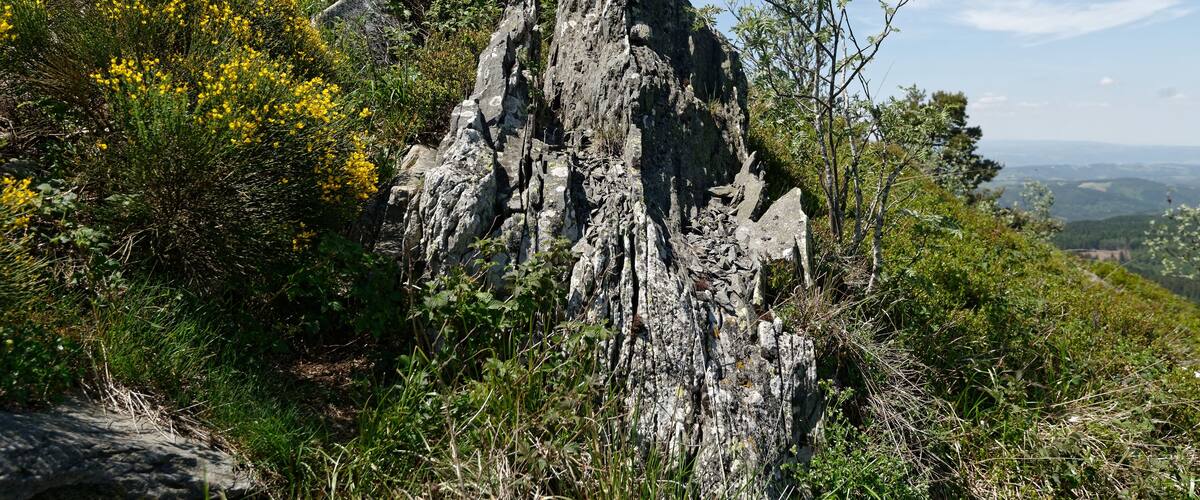 Affleurements rocheux au sommet du pic du Lizieux à Araules, en Haute-Loire.