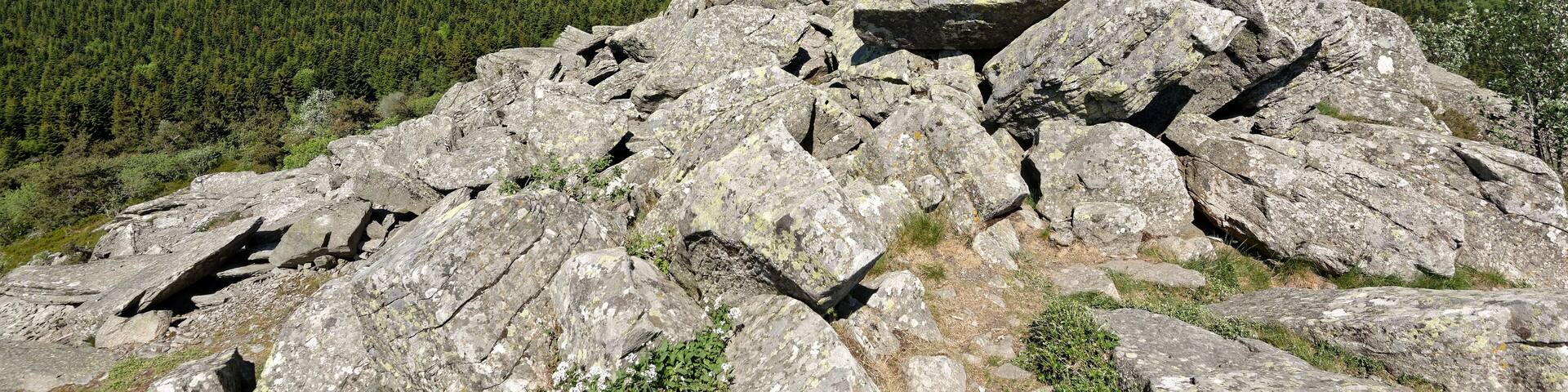 Vue vers l'est-nord-est depuis le sommet du pic du Lizieux à Araules, en Haute-Loire.