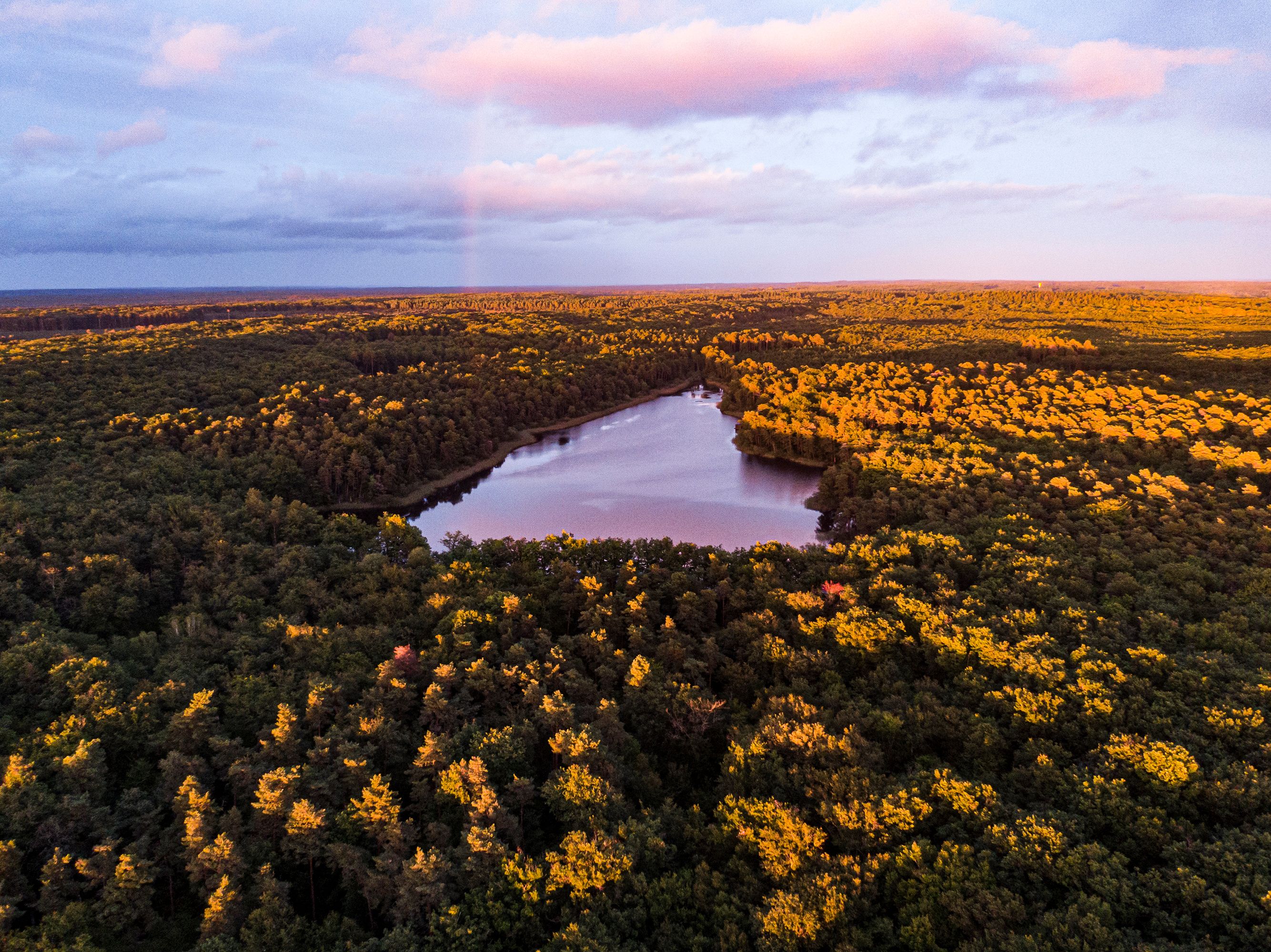 A river winding through a dense forest with a lake in the center.