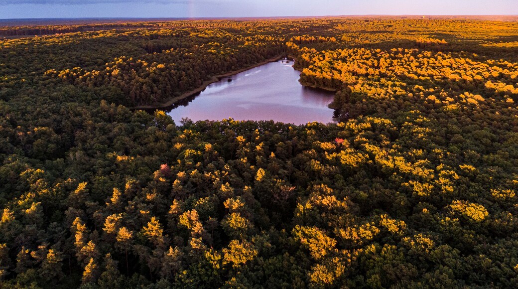 A river winding through a dense forest with a lake in the center.