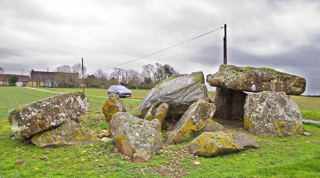 Liniez (Indre) 47° 01' 39" N 01° 45' 30" E Dolmen de la Pierre-Levée. Dolmen de type angevin assimilable à une allée couverte. Le monument est orienté est-ouest avec l'entrée à l'est. Dolmen type Angevin similar to a covered walkway. The monument is oriented east-west with the east entrance.