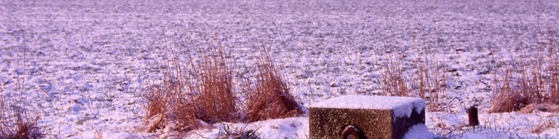 Borne NTF IGN de Maisons