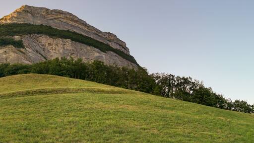 ๋ฒจ๋ชฝ ํธ๋ผ๋ชจ๋ค