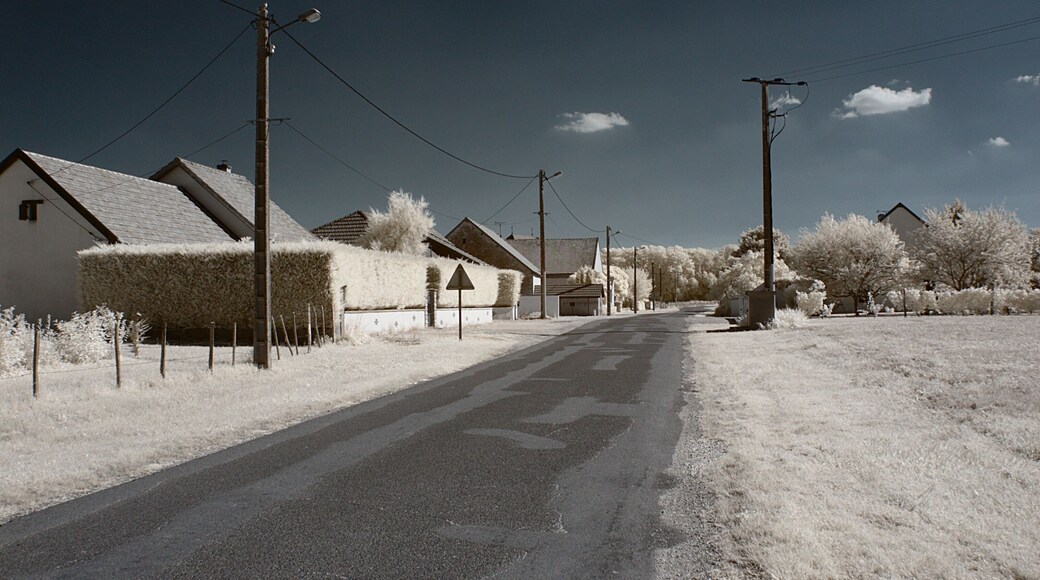 Rue Bossuet, Franxault (Côte d'Or, Bourgogne, France) photographié avec un filtre infrarouge 720 nm.