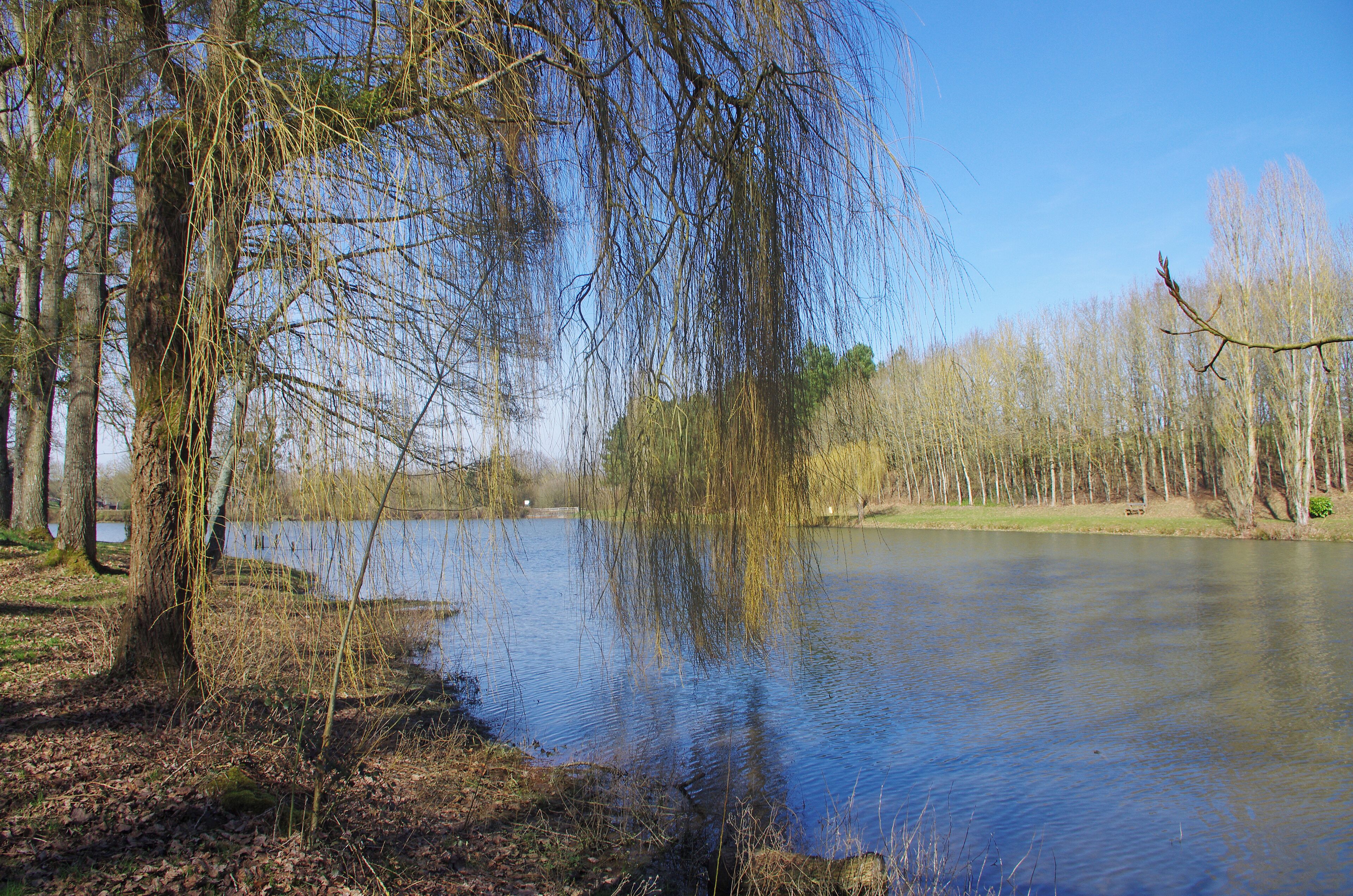 Choue (Loir-et-Cher) Le plan d'eau. Etang public de 3 ha sur le ruisseau le Couraillon.