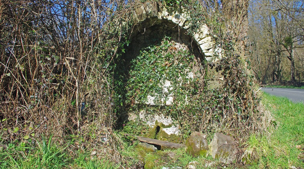 Choue (Loir-et-Cher) La Fontaine de Guériteau (A 50 m au nord, les ruines d'une ancienne chapelle romane de Guériteau) La source sourd en pied de coteau dans un petit bassin en pierres maçonnées sous une niche en "cul de four". A la sortie du bassin, l'eau s'écoule dans le fossé de la route actuelle, mais autrefois elle devait rejoindre directement la Grenne*. Cette fontaine a fait l'objet d'un culte très ancien. Encore à l'heure actuelle, son eau est considérée comme miraculeuse et de nombreux visiteurs boivent et emportent son eau dans des bouteilles. De débit est très faible, 1/2 litre par seconde, la source est située sur le trajet d'une faille de direction sud-ouest nord-est. La couverture de l'aquifère* alimentant la source étant perméable, celle-ci est probablement sujette aux pollutions de surface. (voir Chronique des sources et des fontaines N°5 - 1998 - Compte rendu de la sortie commune avec la Société d'Histoire Naturelle du Loir et Cher du 17 mai 1998 J. DI ROSA: Botanique - P. de BRETIZEL : Géologie et pédologie) La Grenne coule, sur 28 km, exclusivemlent dans le Loir-et-Cher. Elle se jette dans la Braye qui se jette dans le Loir. Le loir se jette dans la Sarthe et elle même dans la Loire par la Maine et la Mayenne. La Grenne fait donc partie du bassin de la Loire. L'aquifère est une formation géologique poreuse, fissurée et perméable, où l'eau stockée peut circuler. L'aquifère contient la nappe d'eau souterraine. Un aquifère souterrain de faible profondeur est une nappe phréatique.